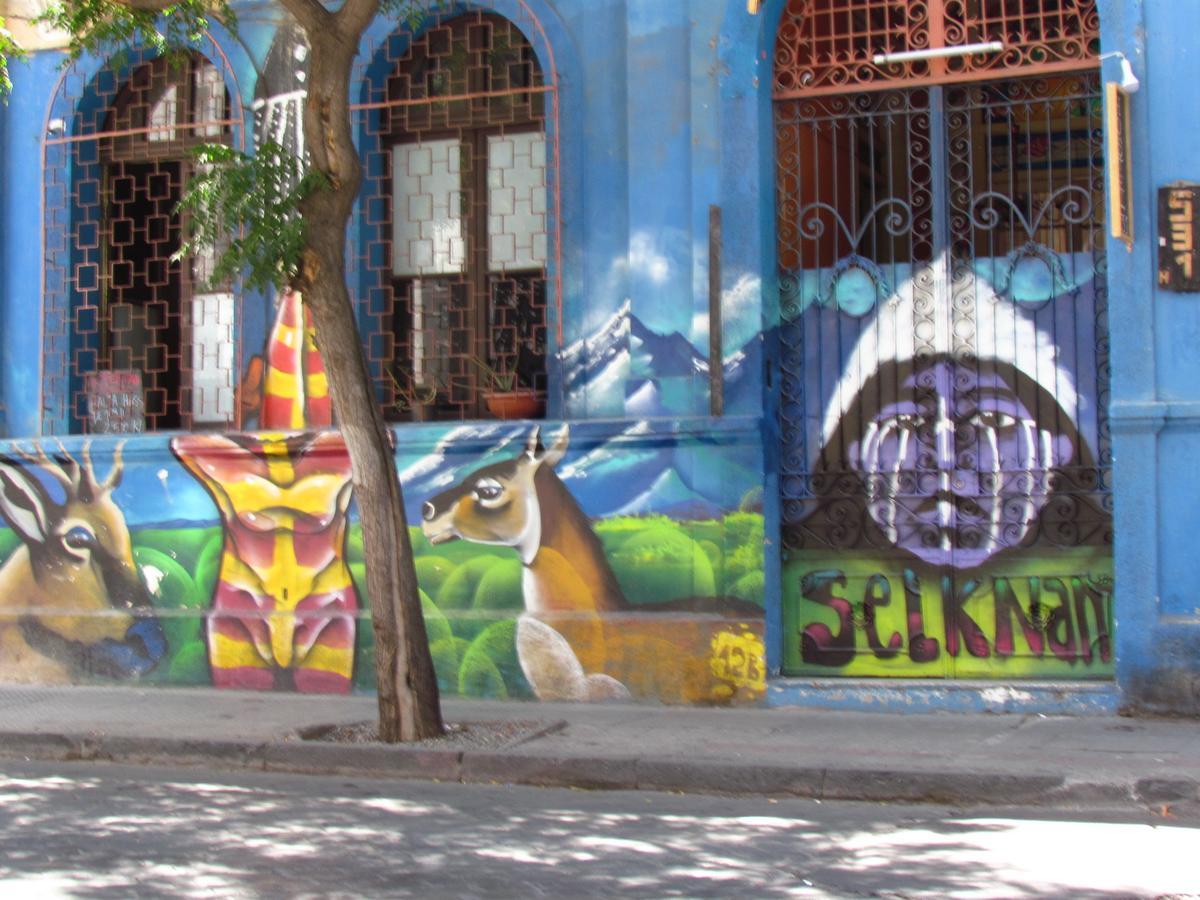 Origenes Hostel Santiago de Chile Exteriér fotografie